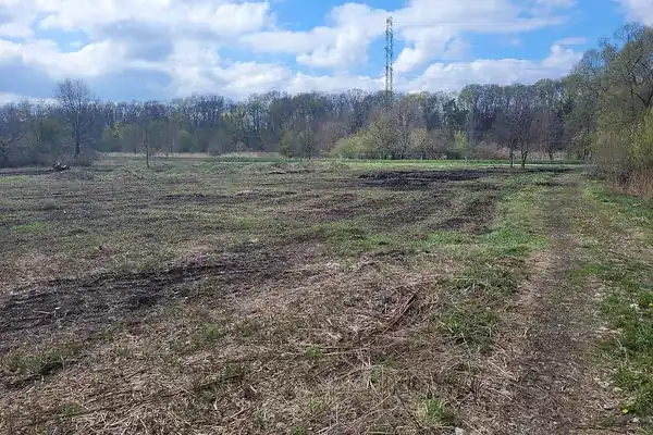 Terrain nu préparé avant construction